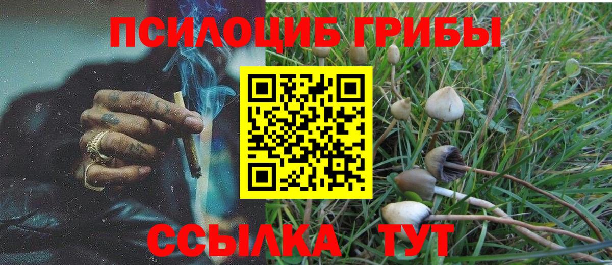 Галлюциногенные грибы прущие грибы  Вход с VPN  Лыткарино 